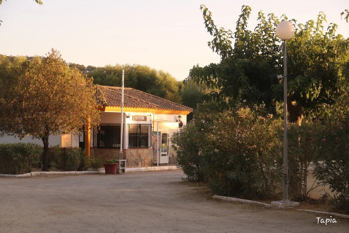 Camping Los Gazules — camping en Alcalá de los Gazules, Cádiz, Andalucía · 3.5 de 5 (389 opiniones)