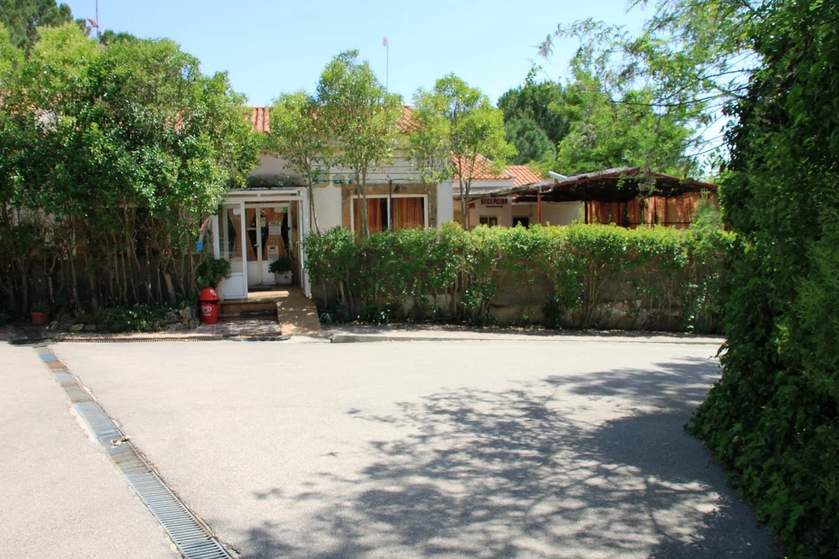 Camping Pantapino — camping en Olmedilla de Alarcón, Cuenca, Castilla-La Mancha · 3.7 de 5 (334 opiniones)