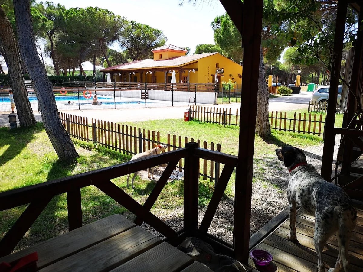 Camping Riberduero en Peñafiel - Small camping in rural Spain — camping en Peñafiel, Valladolid, Castilla y León · 4.4 de 5 (745 opiniones)