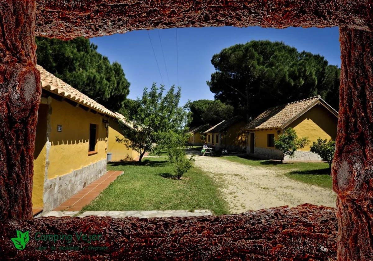 Camping Vejer — camping en Vejer de la Frontera, Cádiz, Andalucía · 3.7 de 5 (525 opiniones)