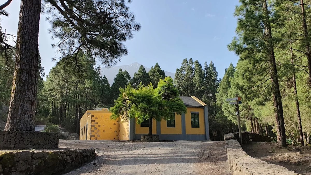 El Lagar — camping en Icod de los Vinos, Santa Cruz de Tenerife, Canarias · 4.8 de 5 (106 opiniones)