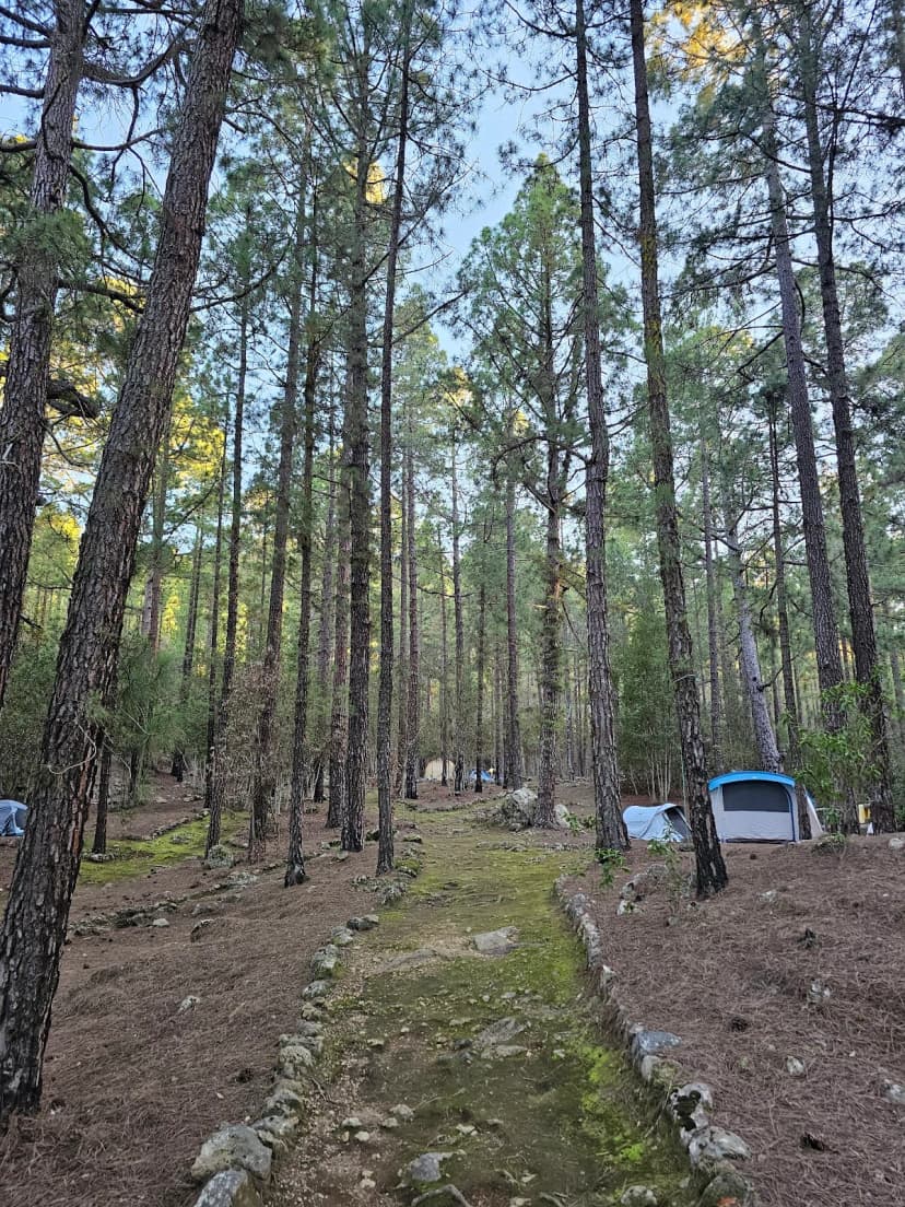El Lagar — foto 2