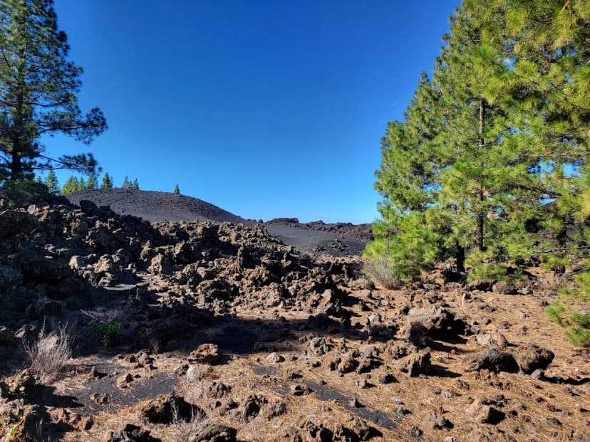 El Lagar — foto 4