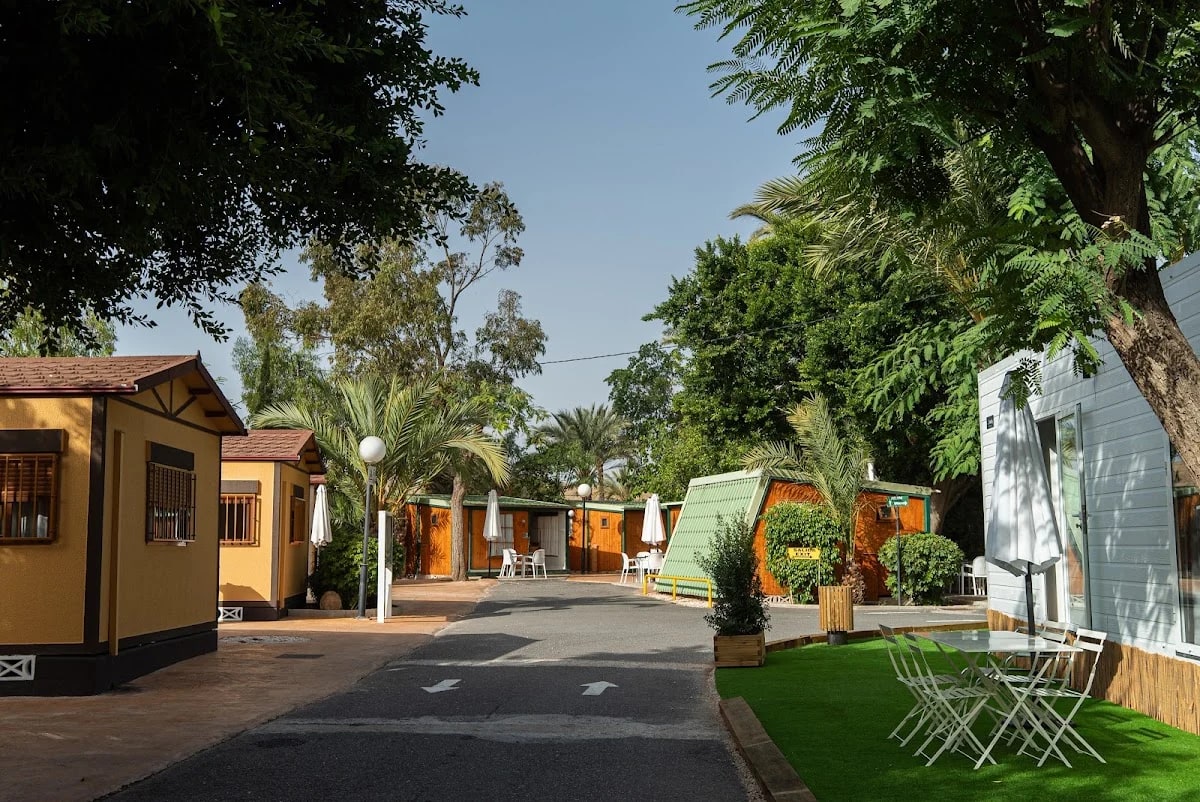 Las Palmeras Camping Crevillente — camping en Crevillent, Alicante, Comunidad Valenciana · 4.3 de 5 (1533 opiniones)