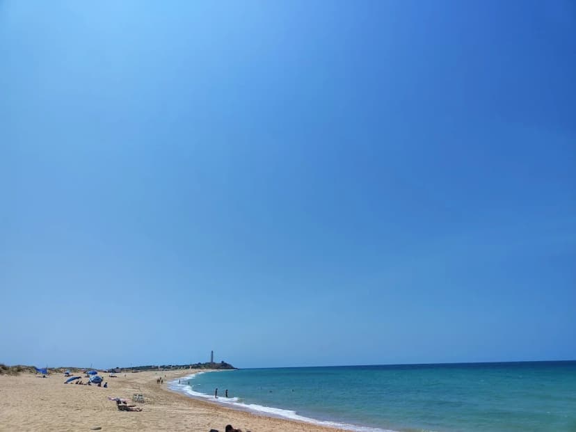 Los Nidos de Trafalgar — glamping en Caños de Meca, Barbate, Cádiz, Andalucía · 5.0 de 5 (4 opiniones)
