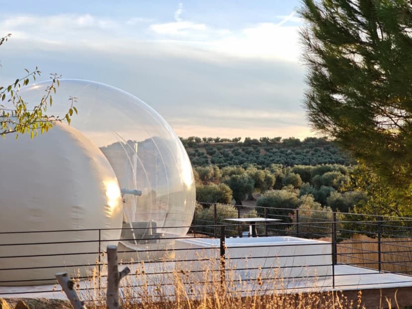 Panoramic Suites Hotel Burbuja — burbujas en Guadamur, Toledo, Castilla-La Mancha · 5.0 de 5 (59 opiniones) · Habitaciones burbuja en enclaves naturales distintos