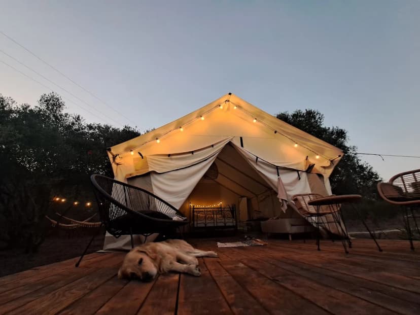 Tranquilo Glamping — foto 4