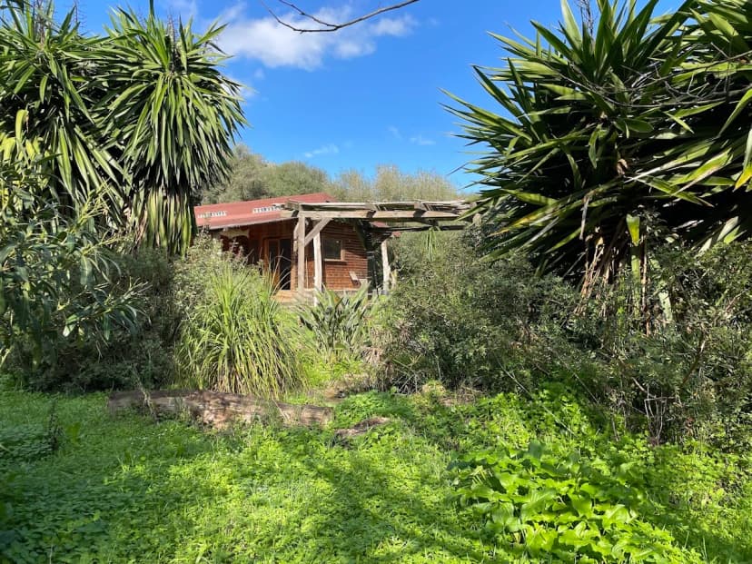 Yurtas La Veleta — glamping en Vejer de la Frontera, Cádiz, Andalucía · 4.7 de 5 (53 opiniones)