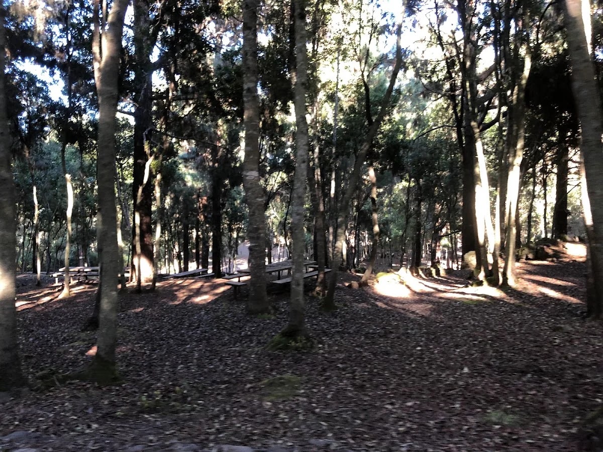 Zona De Acampada De La Tahona — camping en San Juan de la Rambla, Santa Cruz de Tenerife, Canarias · 4.4 de 5 (18 opiniones)