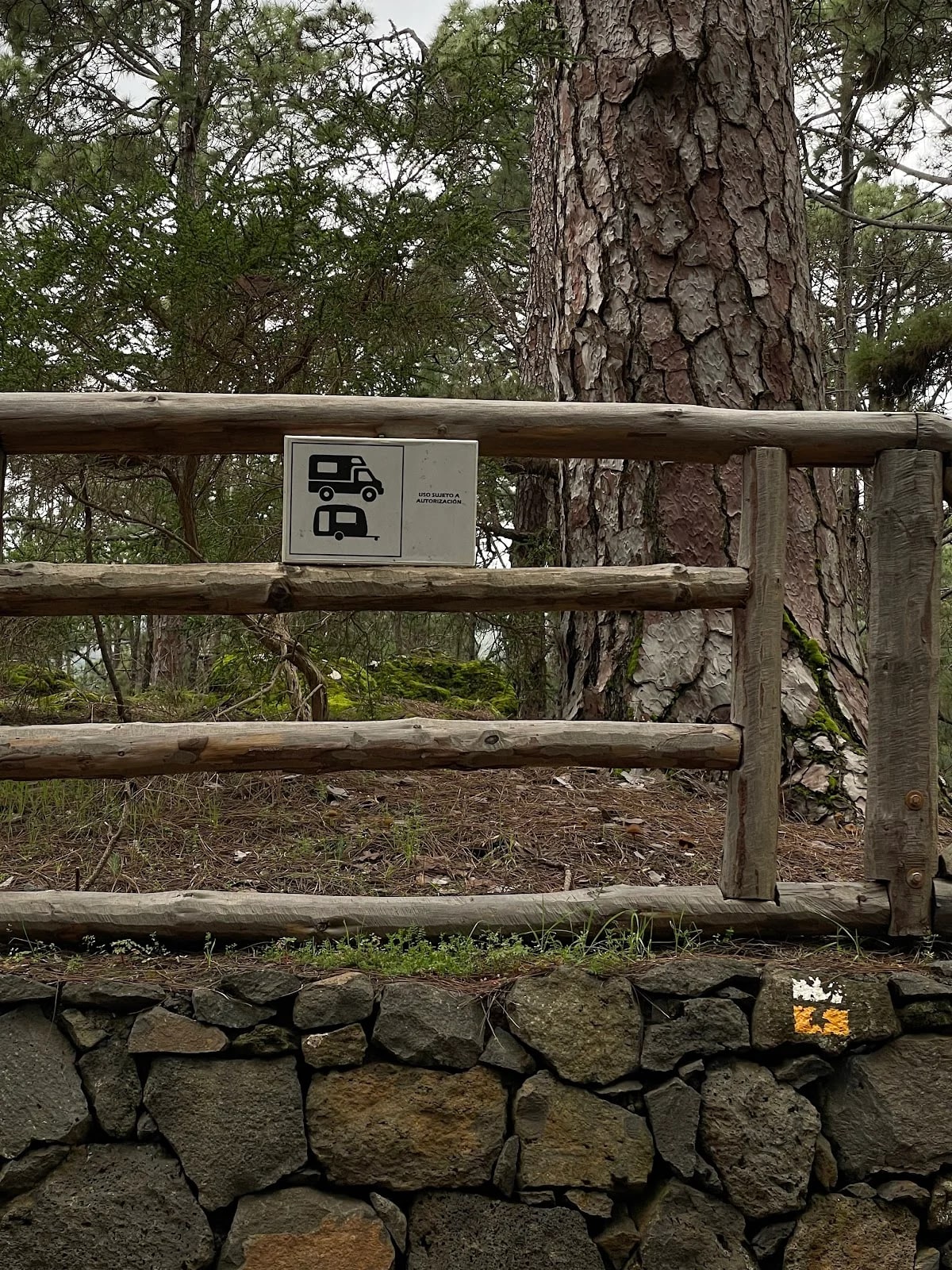 Zona De Acampada De Las Raíces — camping en El Rosario, 38290, Santa Cruz de Tenerife, España, Canarias · 4.3 de 5 (171 opiniones)