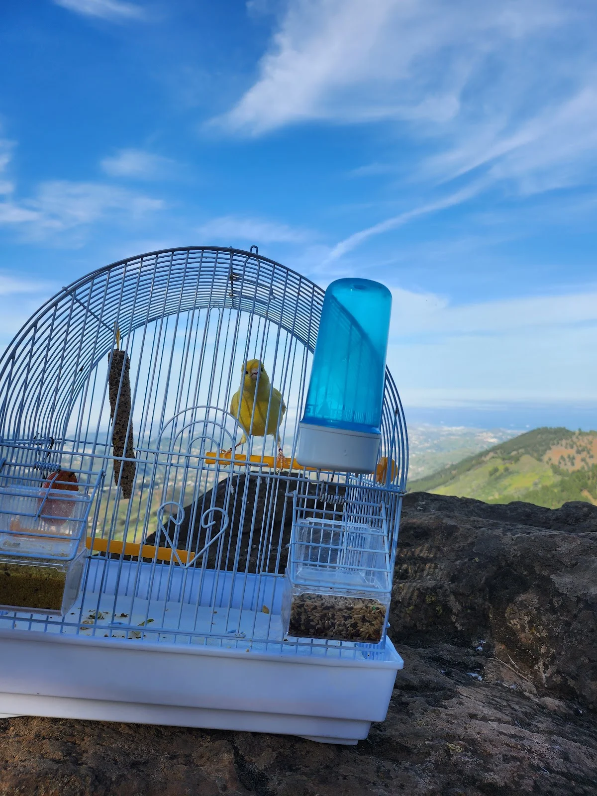 Zona de Acampada de Llanos del Salado — camping en Vega de San Mateo, Las Palmas, Canarias · 4.7 de 5 (105 opiniones)