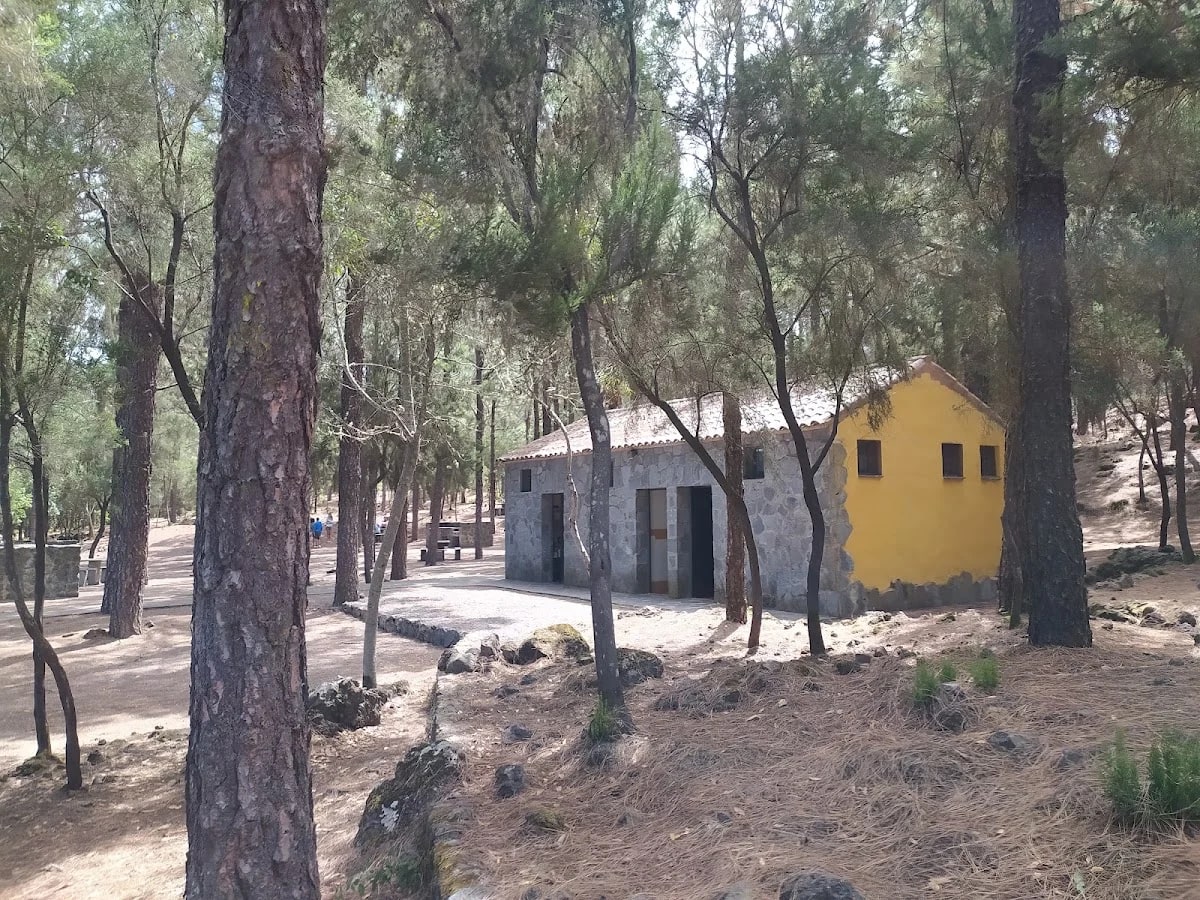 Zona de acampada de San José de los Llanos — camping en El Tanque, Santa Cruz de Tenerife, Canarias · 4.6 de 5 (217 opiniones)