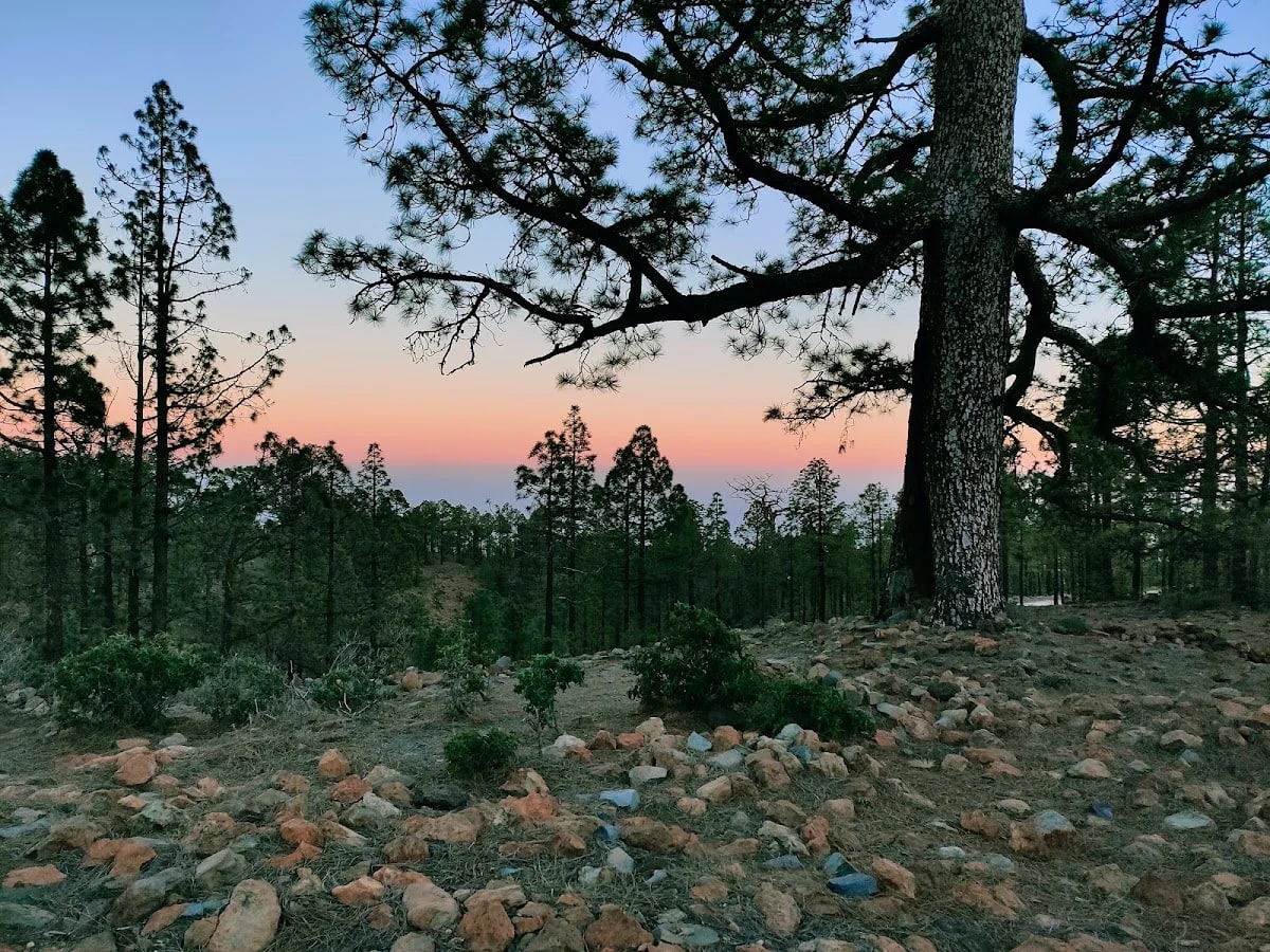 Zona de acampada "Fuente del Llano" — camping en Unnamed Rd, 38589, Santa Cruz de Tenerife, España, Canarias · 3.8 de 5 (22 opiniones)