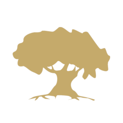 Logotipo de Camping Alquézar