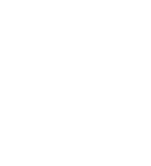 Logotipo de Lar de Vies